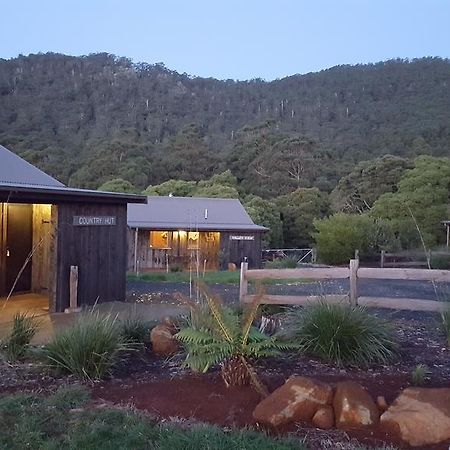 Bed and Breakfast Rustic Hut Bush Retreat Penguin Exterior foto