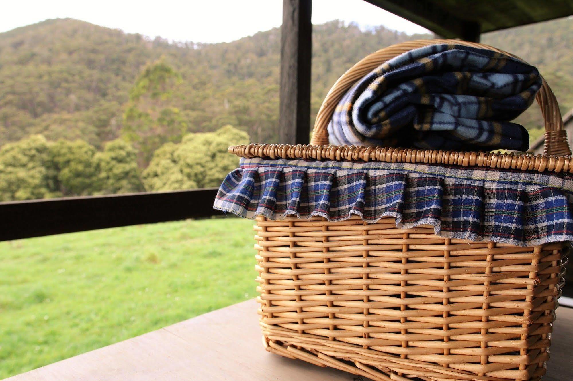 Bed and Breakfast Rustic Hut Bush Retreat Penguin Exterior foto